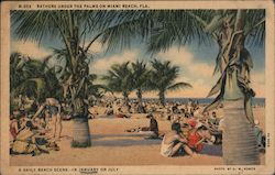 Bathers Under The Palms On Miami Beach, Florida A Daily Beach Scene In January Or July Postcard