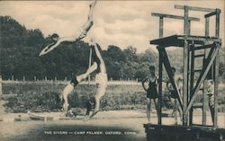 The Diver-Camp Palmer Postcard