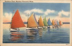 Rainbow Fleet Martha's Vineyard, MA Postcard Postcard Postcard