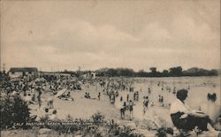 Calf Pasture Beach Postcard