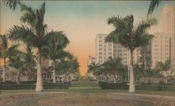 Foot of Flagler Street Postcard