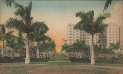 Foot of Flagler Street Miami, FL Postcard Postcard Postcard