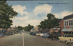 Broadway, Sullivan County Postcard