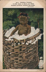 Black Baby in a Basket of Cotton Postcard