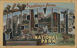 Greetings from Yosemite National Park California Postcard Postcard Postcard