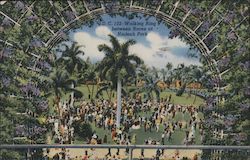 Walking Ring Between Races at Hialeah Park Postcard