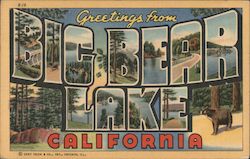 Greetings fro Big Bear Lake California Postcard Postcard Postcard