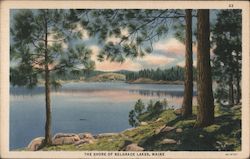 The Shore of Belgrade Lakes, Maine Postcard