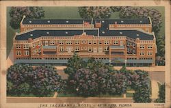 The Jacaranda Hotel Postcard