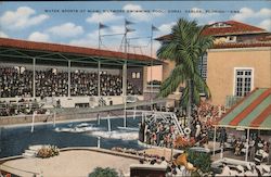 Water Sports at Miami Biltmore Swimming Pool Postcard