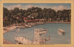 Nature's Underwater Fairyland Silver Springs, FL Postcard Postcard Postcard