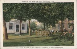 Apelt Armadillo Farm Postcard