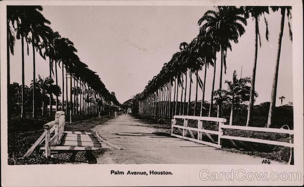 Palm Avenue, Houston Sugar Plantation Demerara British Guiana