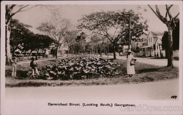 Carmichael Street, Looking South Georgetown British Guiana