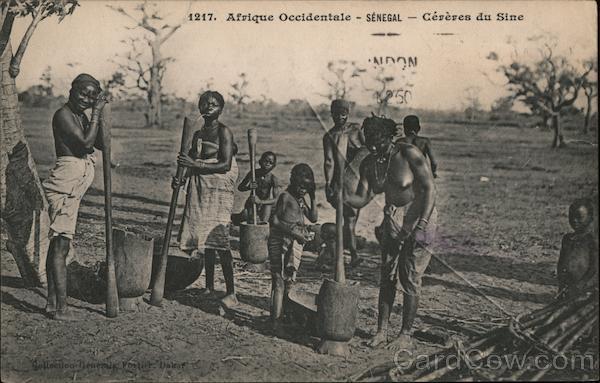 Afrique Occidentale - Senegal - Cerere du Sine Africa