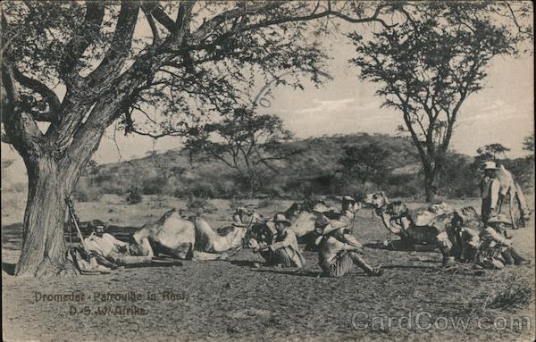 Dromedary - Patrouilie in Rasi South Africa