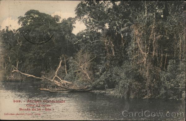 Afrique Occidentale - Cote d'Ivoire, Bords de la Bia Ivory Coast