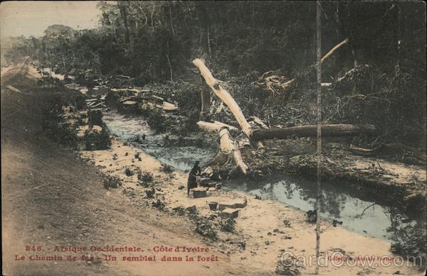 Afrique Occidentale - Cote d'Ivoire, Le Chemin de fev, Un vembial dans la foret Ivory Coast