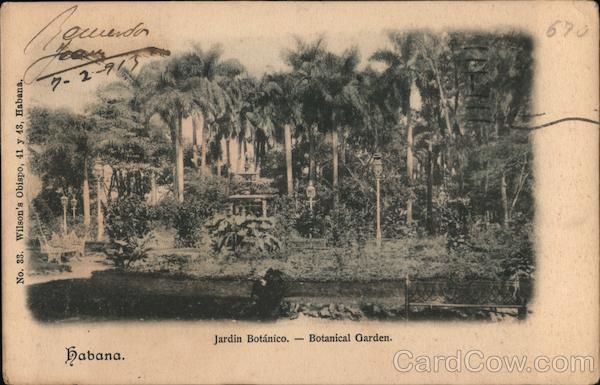 Jardin Botanico - Botanical Garden, Habana Havana Cuba
