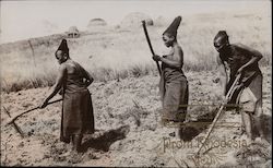 Greetings From Rhodesia Postcard