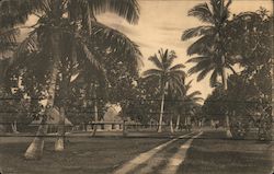 Grusse aus Samoa, Samoanisches Dorf Postcard