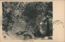 Anjouan Sous Bois Postcard