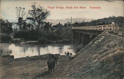Fingal Bridge, South Esk River, Tasmania Australia Postcard Postcard Postcard