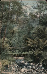 Denison Gorge, Tasmania Postcard