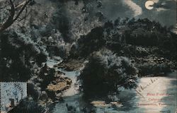 Near First Basin, Cataract Gorge, Tasmania Postcard