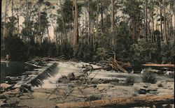 St. Patrick's River, Tasmania Postcard