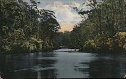 Anson's River From The Ford, E. Coast, Tasmania Postcard