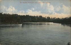 The Junction, Scamander River, East Coast, Tasmania Postcard