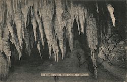 In Scott's Cave, Tasmania Postcard