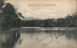 Scamander River, E. Coast, Tasmania Australia Postcard Postcard Postcard