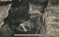 A stray sunbeam, Scott's caves, Mole Creek, Tasmania Postcard
