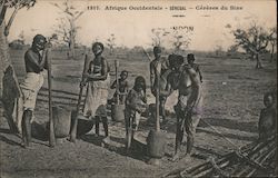 Afrique Occidentale - Senegal - Cerere du Sine Postcard