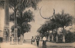 Konigsallee Victoria Postcard