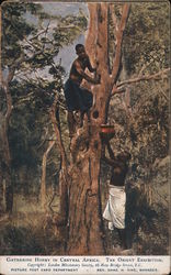 Gathering honey in Central Africa Postcard