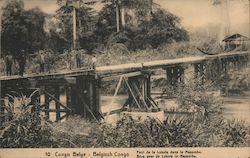 Pont de la Lukula dans le Mayumbe, Belgian Congo Postcard