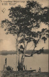 71 Belgian Congo Postcard