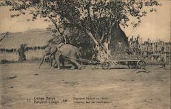 Elephant Trainant un Chariot Postcard