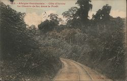 Le Chemin de fer dans la Forêt Postcard