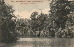 Afrique Occidentale - Cote d'Ivoire, La Riviere "Bia" Postcard