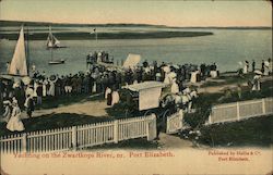 Yachting On The Zwartkops River Postcard