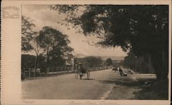 Looking Along Berea Road Postcard