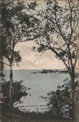 Entrada do Porto de Manao ( Rio Negro) Postcard
