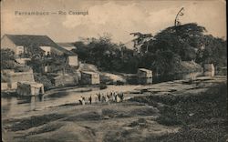 Rio Caxangá Neighborhood, Recife, Pernambuco State Brazil Postcard Postcard Postcard