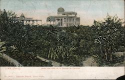 Garden With View of the Race Track Postcard