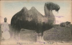 Ming Dynasty 13 tombs Postcard