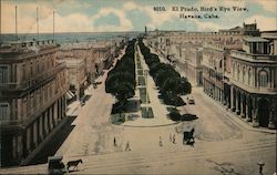 Bird's Eye View, El Prado Postcard